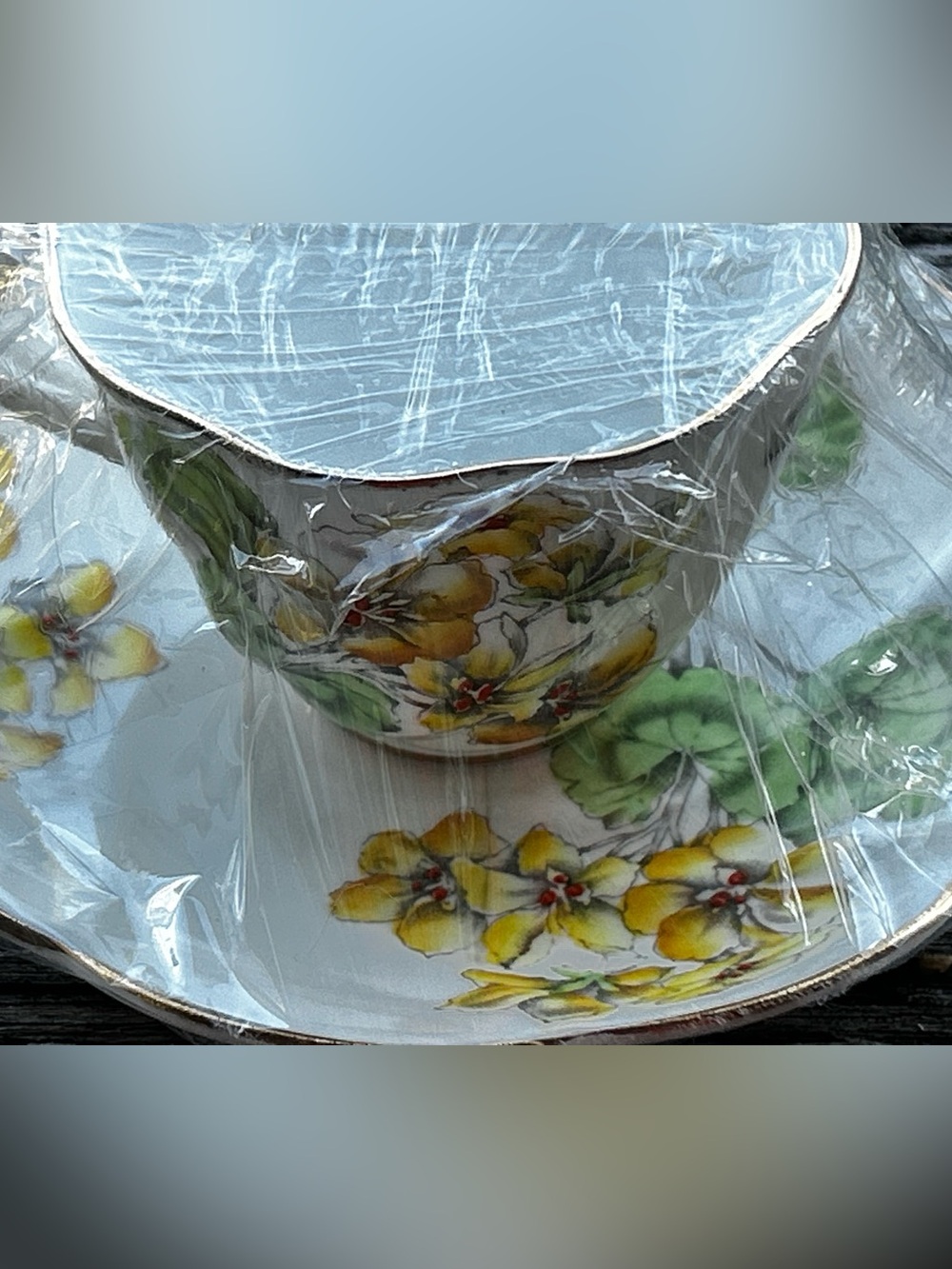 Vintage Geranium Salisbury Fine Bone China Teacup and Saucer made in England